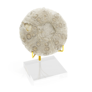 Présentoir Plexiglas et Laiton pour Minéraux & Fossiles