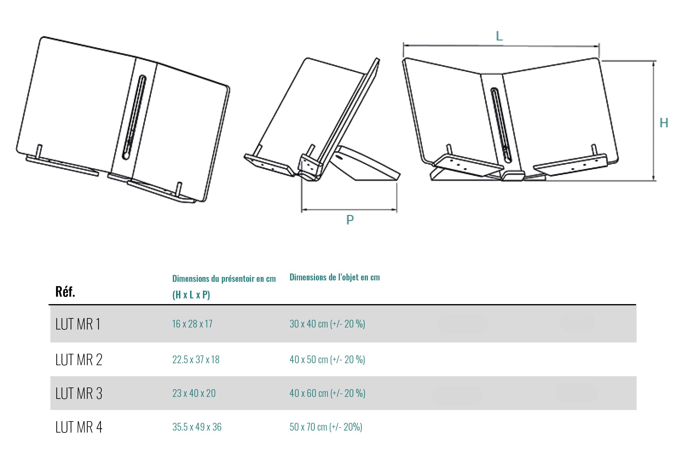 Plexiglas Display - Open Book - LUT1