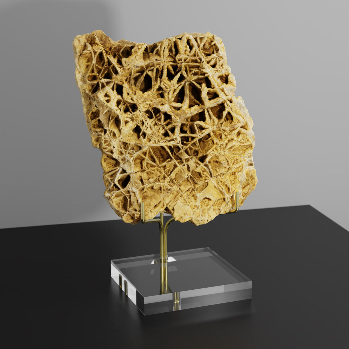 Ausstellungsständer aus Plexiglas und Messing