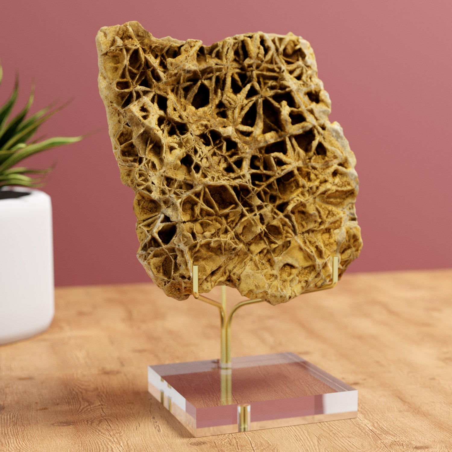 Ausstellungsständer aus Plexiglas und Messing