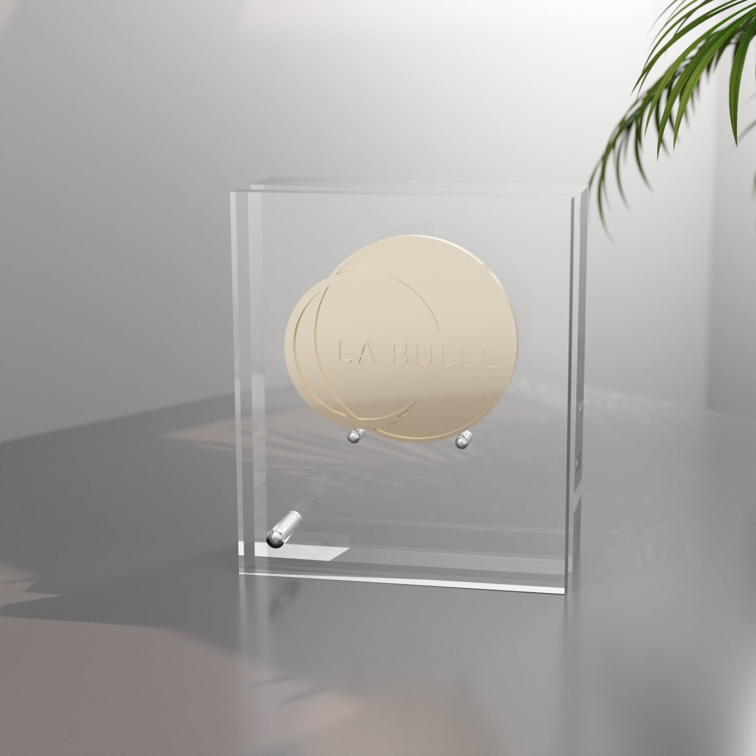 Plexiglas display for 2 to 3 cm coins