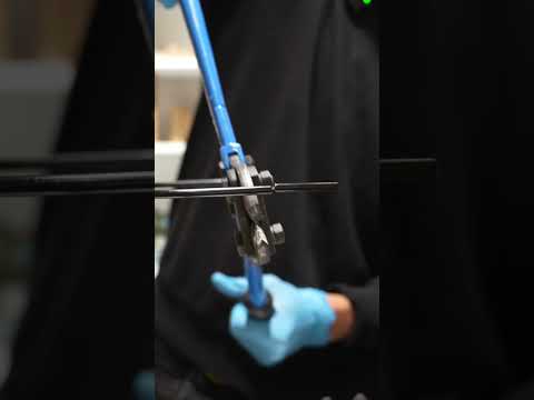 Stahl-Präsentationsständer für Coco de Mer