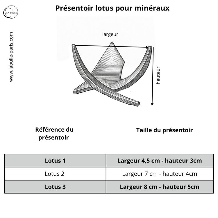 Présentoir plexiglas pour minéraux ⎸ Forme Lotus