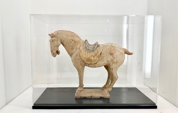 sculpture de cheval sous un capot en plexiglas sur une base en bois noir 